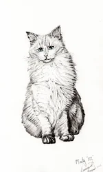 Fiú, 2015, (tinta papíron)